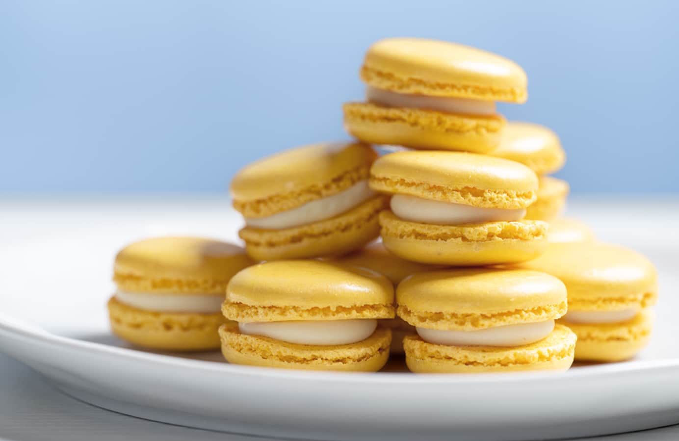 Lemon Macarons